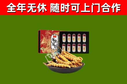 阿里地区烟酒回收冬虫夏草礼盒.jpg